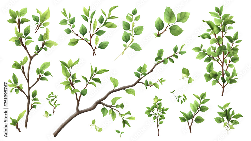 Greenery realistic tree branches cut-out isolated on transparent background