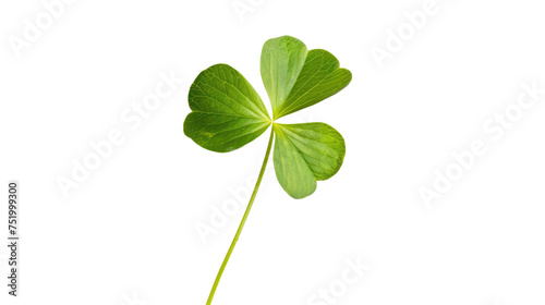 Lucky clover St Patrick Day irish holiday shamrock symbol isolated transparent png.png