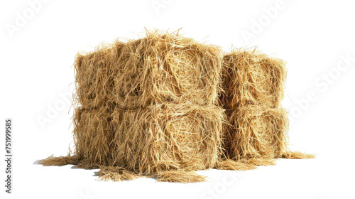  Square Hay Bale Isolated on Transparent Background.png photo