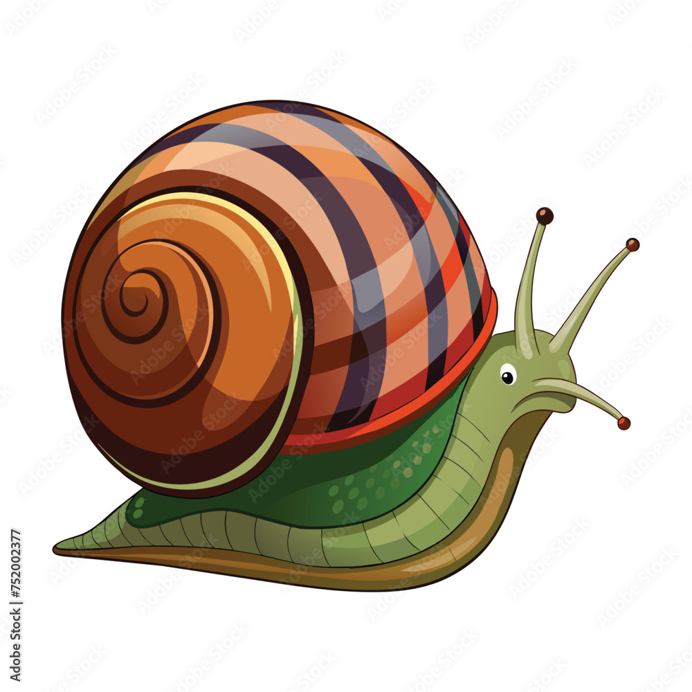 Snail illustration on White Background