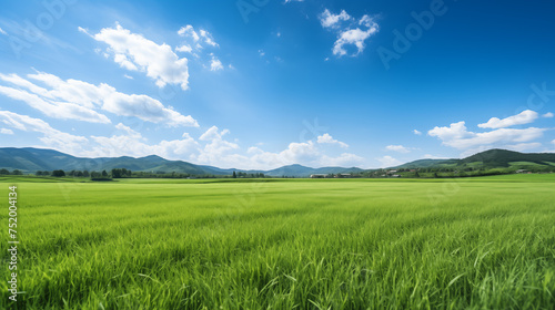 green field and blue sky. field and clouds