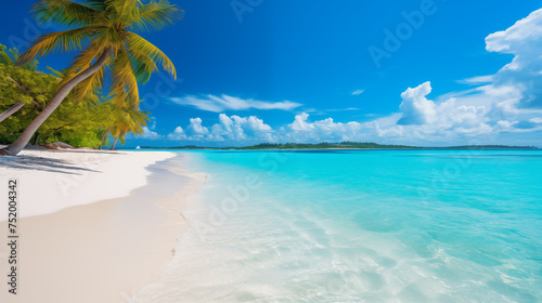  Tropical beach. Summer vacation on a tropical island with beautiful beach and palm trees. Tropical Maldives. © Pakhnyushchyy