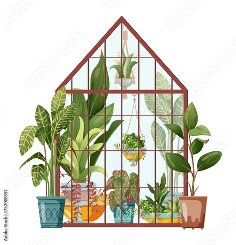 Houseplant and macrame plant growing in hothouse. Greenhouse and macrame plants isolated on white background. Cartoon flat illustration.
