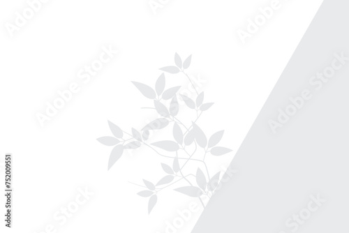 shadow of plant with leaves on white color wall background. Used for backgrounds, cardboards, tropic concepts, autumn for product presentation podium and mockup. Editable. EPS 10