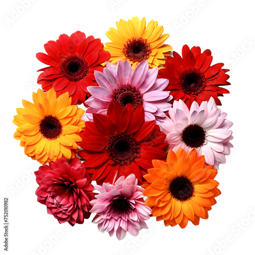 Set of different beautiful flowers on transparent background.