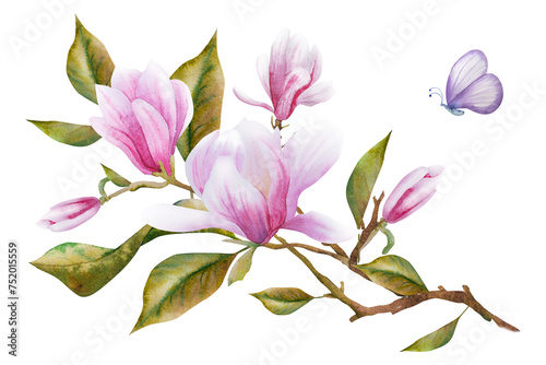 Watercolor illustration with blooming pink magnolia flowers and branches. Spring or summer flowers for invitation  wedding or greeting cards