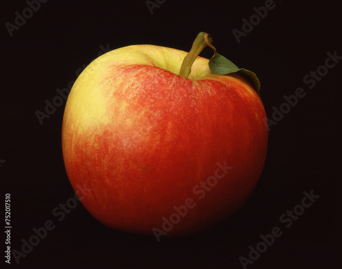 A vibrant apple with a blend of red and yellow hues sits against a dark background. photo