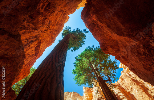 Bryce Canyon National Park in southern Utah photo