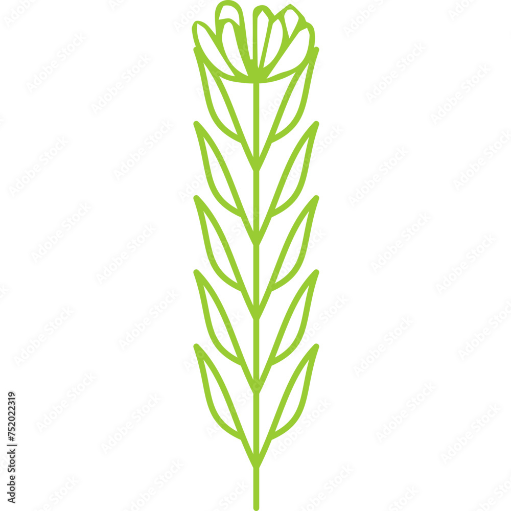 Line Decorative Flower Line Decorative Flower