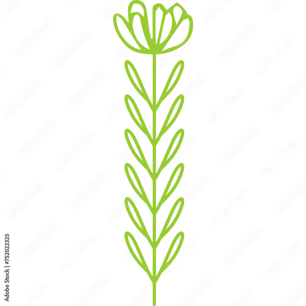 Fototapeta premium Line Decorative Flower