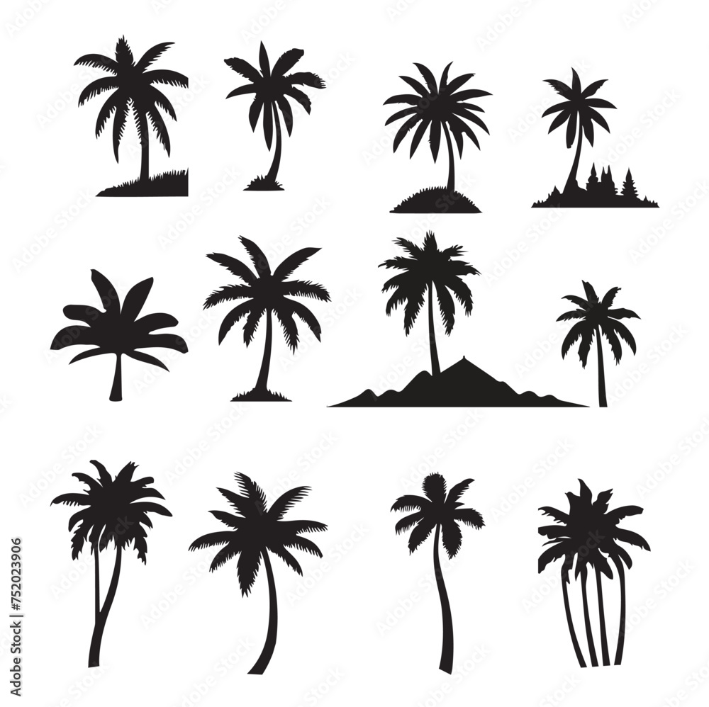 set of palm trees, Isolated palm on the white background. Palm silhouettes.	