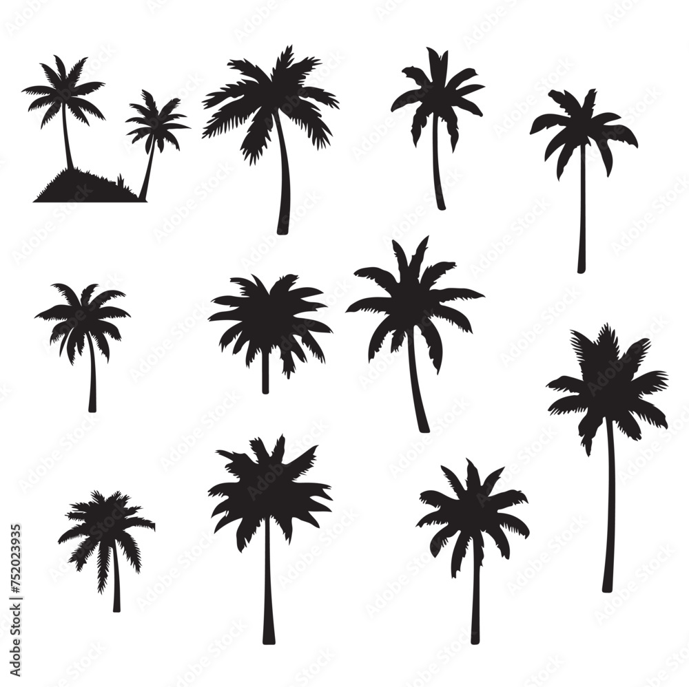 set of palm trees, Isolated palm on the white background. Palm silhouettes.	