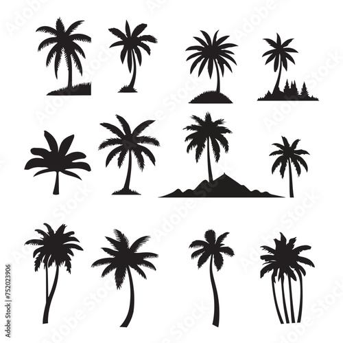 set of palm trees, Isolated palm on the white background. Palm silhouettes. 