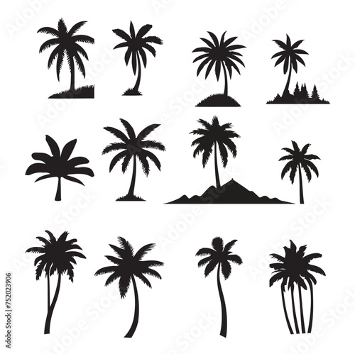 set of palm trees, Isolated palm on the white background. Palm silhouettes.	