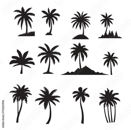 set of palm trees  Isolated palm on the white background. Palm silhouettes. 