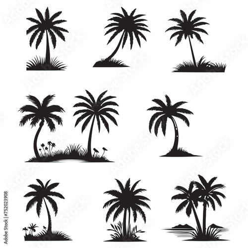 set of palm trees  Isolated palm on the white background. Palm silhouettes. 
