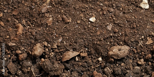 Rich brown soil texture with small stones and organic debris, suitable for gardening and nature backgrounds.