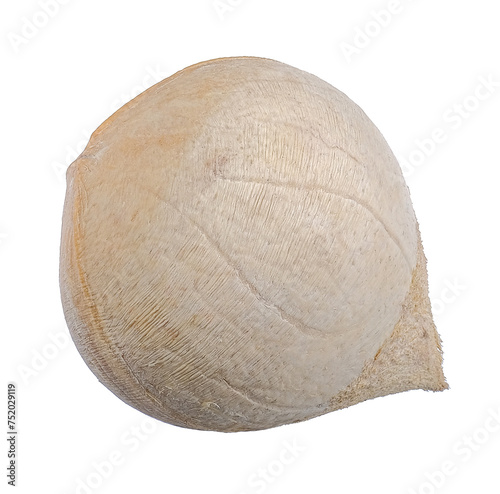 Coconut isolated on the white background