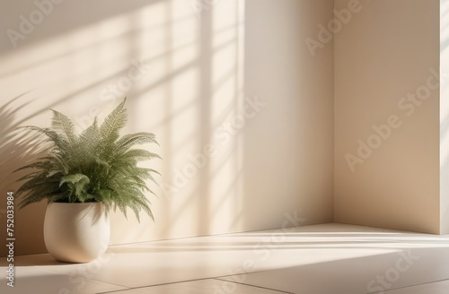 Minimalistic abstract light beige background for product presentation with window shade and potted vegetation