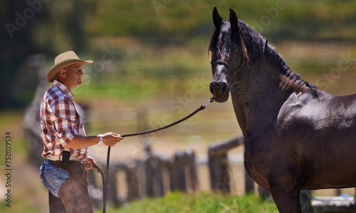 Cowboy, horse and reins on farm in nature and equestrian park in western ranch in country. Strong, stallion or healthy animal of american quarter thoroughbred, outdoor and calm with trainer in texas