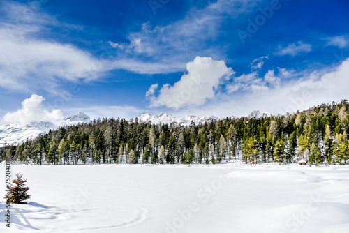 St. Moritz, Stazersee, Bergsee, Stazerwald, Waldweg, Winter, Winterwanderung, Wintersport, Winterlandschaft, Piz Julier, Piz Nair, Alpen, Oberengadin, Graubünden, Schweiz photo