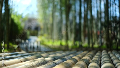 静岡県伊豆市修善寺　竹林の小径と木漏れ日 photo
