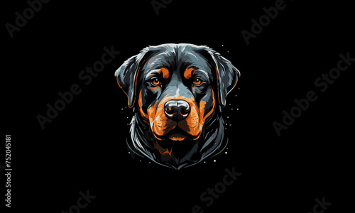 black labrador retriever