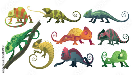 Chameleon lizards. Reptiles with curved tail and camouflage skin, tropical wildlife. Vector collection of different exotic animals © designer_things