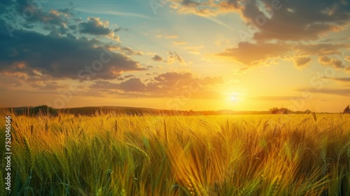 Golden Barley Field Under a Blue Sky Generative AI