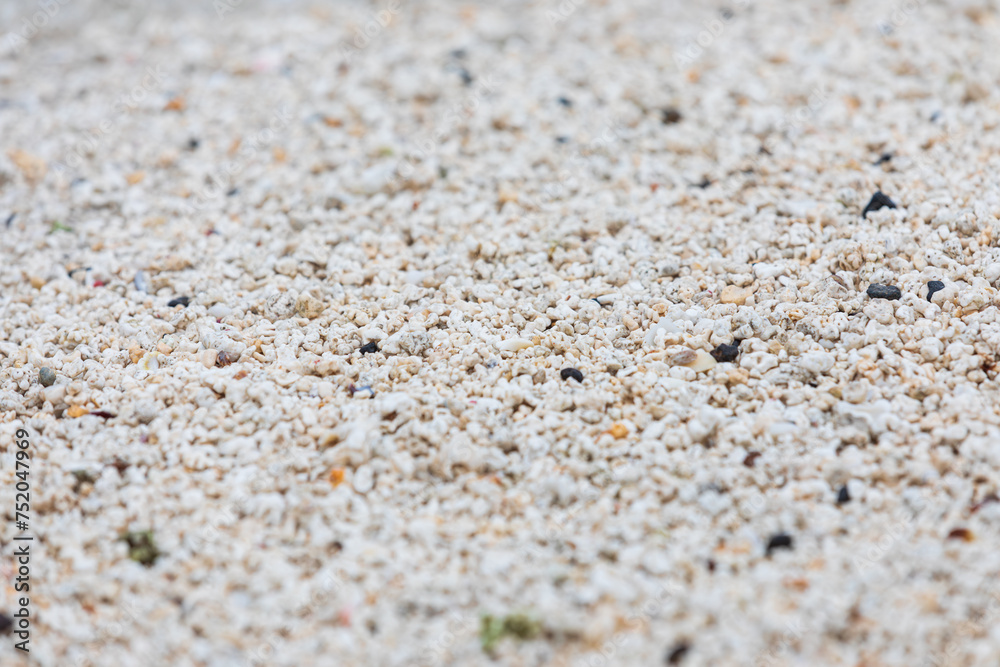 Red Algal Nodules Beach in Udo Island. Red algae nodules are one of the calcareous algae that photosynthesize and deposit calcium carbonate on the walls between cells or cells. Red Algal Nodules Beach in Udo Island. Red algae nodules are one of the calcareous algae that photosynthesize and deposit calcium carbonate on the walls between cells or cells.