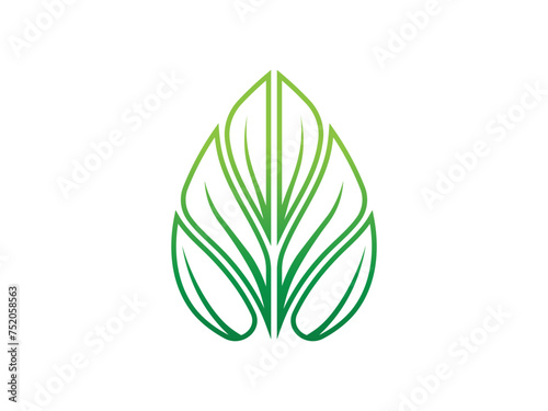 Vector leaf  line leaf design concept  logotype element for template.