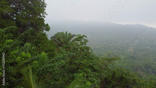 Passing over a rainforest canopy heading toward the mist-covered mountains  photo