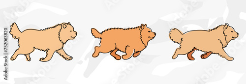 Pastellfarbene Chow Chow Lineart-Illustrationen: Vektorgrafik-Bündel