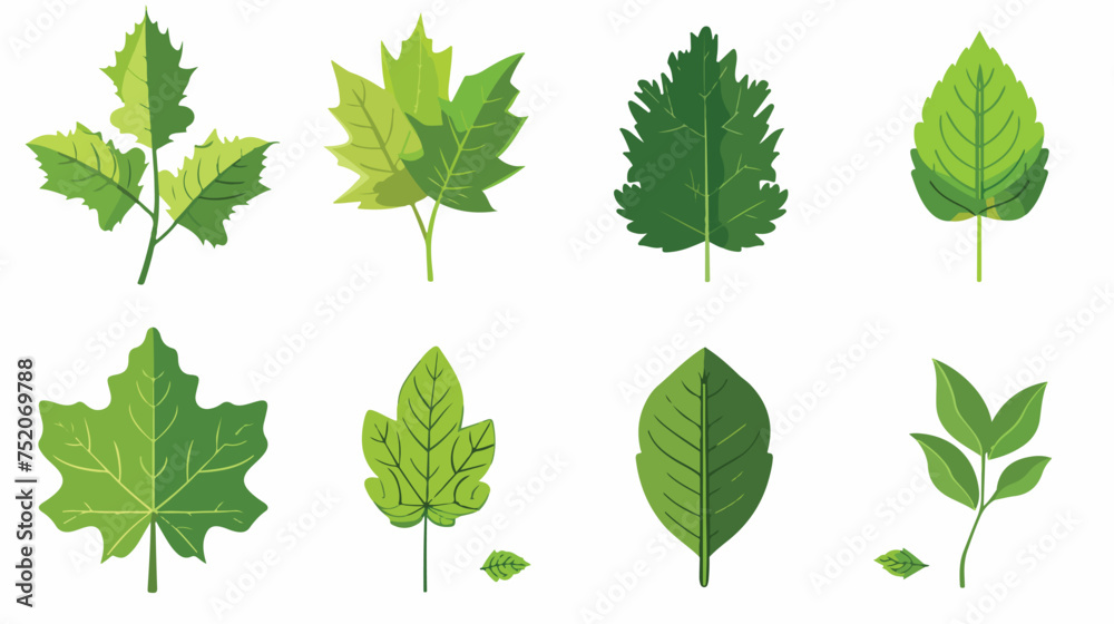 Leaf icon butterfly ecology green. - obrazy, fototapety, plakaty 