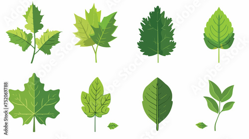 Leaf icon butterfly ecology green. © Nobel