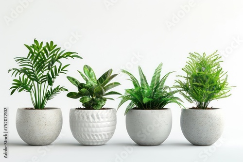 plants in minimalist white pots, isolated front view, white background