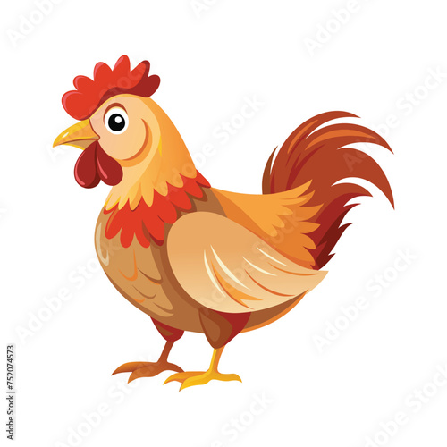 Chicken illustration on White Background