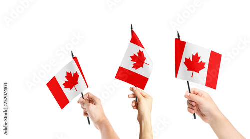 Fototapeta Naklejka Na Ścianę i Meble -  A group of people are holding small flags of Canada in their hands.