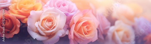 close up  sweet color roses flower in pastel tone with blurred style for background