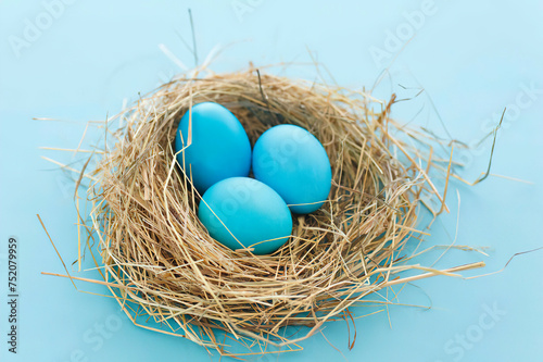 Coloful Easter eggs in nest, studio shot