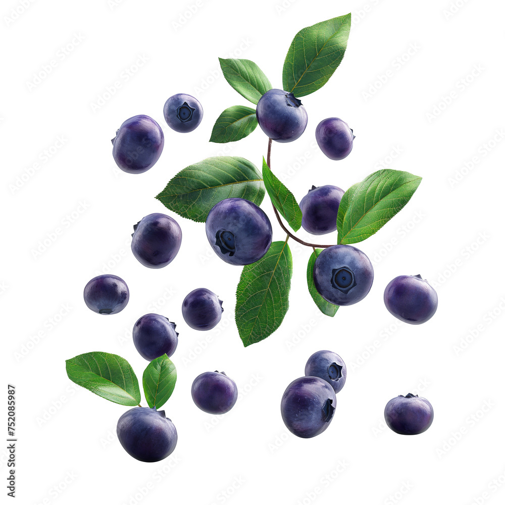 Ripe Blueberries falling in air with Blueberry leaves, Healthy organic berry natural ingredients concept, AI generated, PNG transparency Ripe Blueberries falling in air with Blueberry leaves, Healthy organic berry natural ingredients concept, AI generated, PNG transparency