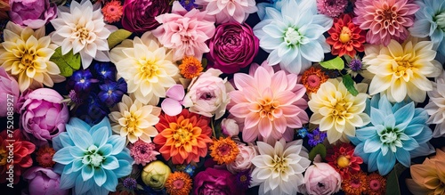 Vibrant Blossoms: Colorful ...