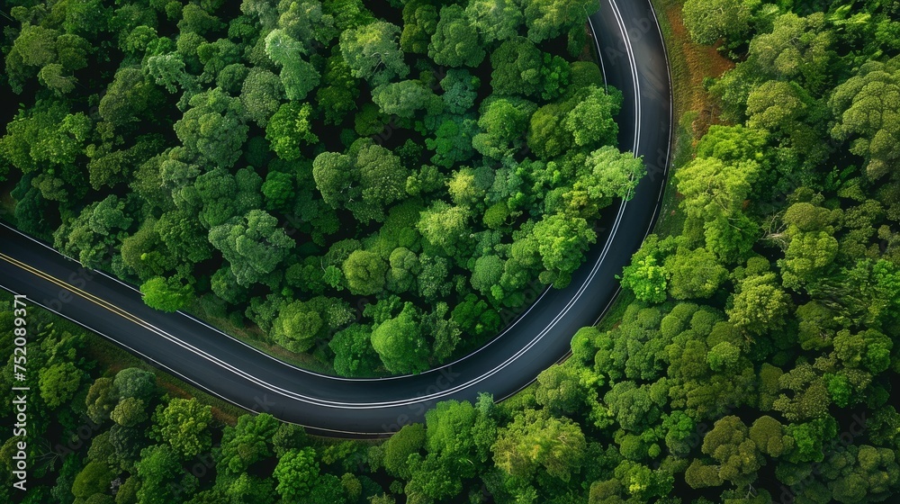 Aerial view overhead green forest a curved highway