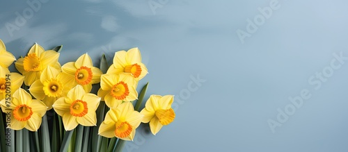 Vivid Yellow Daffodil Bouqu...