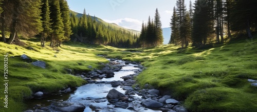 Tranquil Stream Flowing Thr...