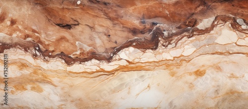 Elegant Brown and White Mar...