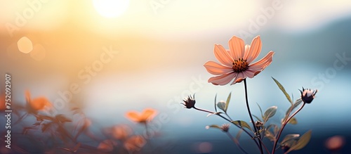 Vibrant Bloom Stands Out in...