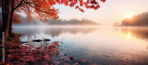 Serene Autumn Morning: River in Fog with Red Foliage, Calm Nature Landscape at Sunrise © vxnaghiyev