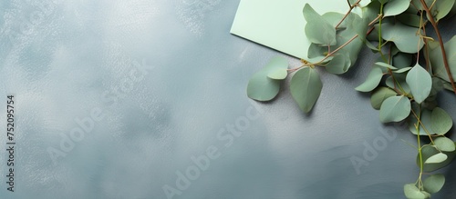 Elegant Green Eucalyptus Le...