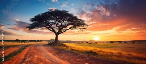 Captivating Sunset Scene  Lone Tree by Empty Dirt Road Leading into Vibrant Savanna Horizon